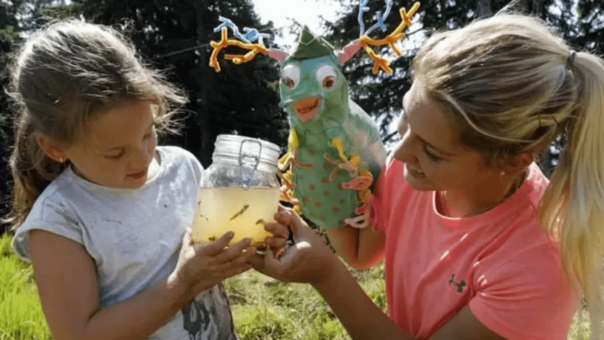 Screenshot_2024-09-12_at_08-48-34_1_k800_westendorf_20180821_1253bearbeitet2-jpg_WEBP-Grafik_750__498_Pixel